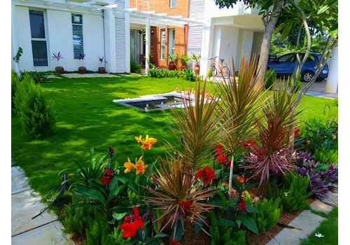 Terrace Garden Services Provider in Noida